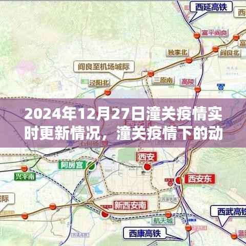 潼关疫情深度分析,实时更新与应对策略