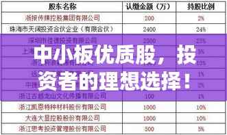 中小板优质股,投资者的理想选择!