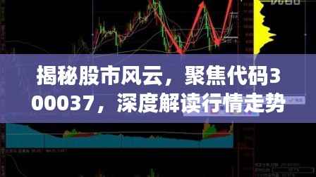 揭秘股市风云,聚焦代码300037,深度解读行情走势!