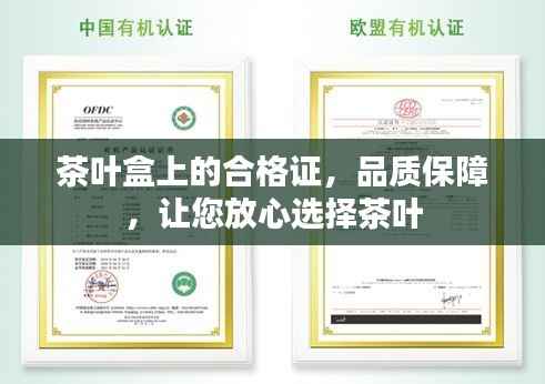 仪表堂堂 第3页