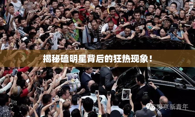 揭秘磕明星背后的狂热现象!