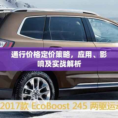 通行价格定价策略,应用、影响及实战解析