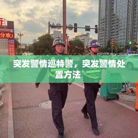 突发警情巡特警,突发警情处置方法