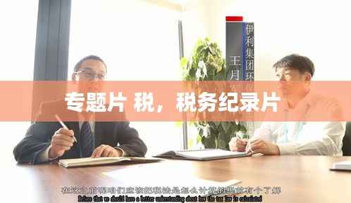 专题片 税，税务纪录片 