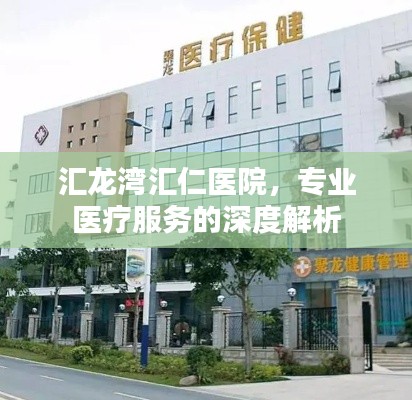 汇龙湾汇仁医院,专业医疗服务的深度解析