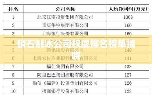 硝石制冰公司权威排名榜单揭晓