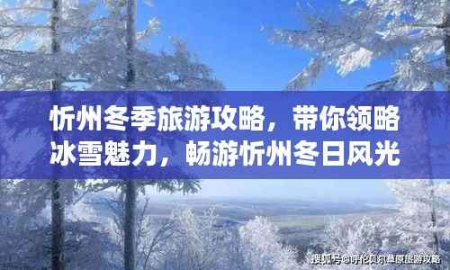 忻州冬季旅游攻略，带你领略冰雪魅力，畅游忻州冬日风光！