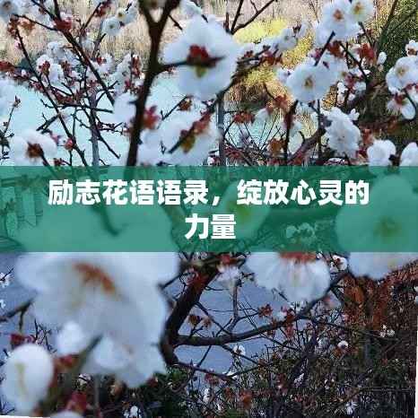 励志花语语录,绽放心灵的力量
