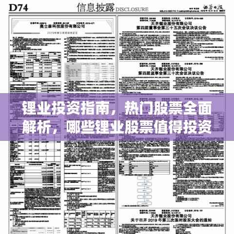 锂业投资指南,热门股票全面解析,哪些锂业股票值得投资?