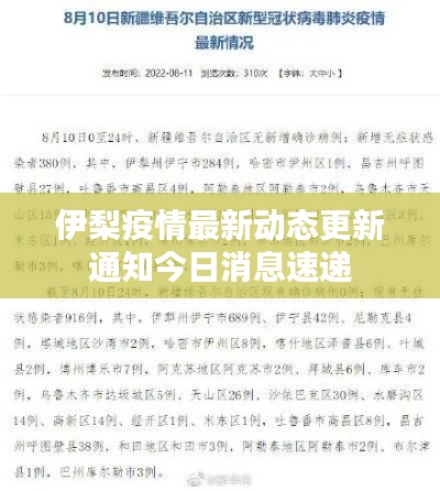 伊梨疫情最新动态更新通知今日消息速递
