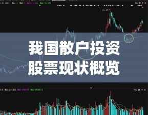 我国散户投资股票现状概览与未来展望
