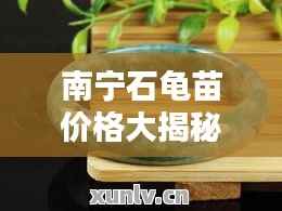 南宁石龟苗价格大揭秘,最新行情分析!