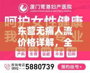 东营无痛人流价格详解,全面解析与比较