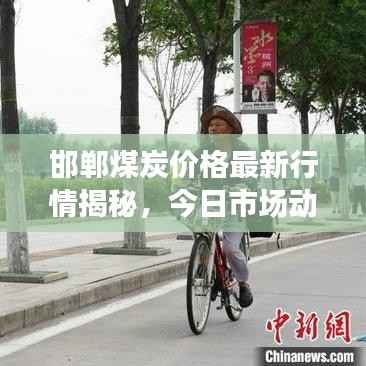 邯郸煤炭价格最新行情揭秘，今日市场动态分析