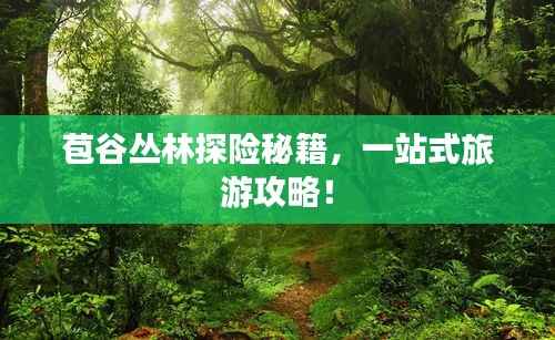 苞谷丛林探险秘籍，一站式旅游攻略！