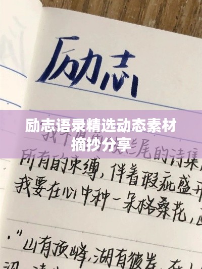 励志语录精选动态素材摘抄分享