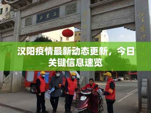 汉阳疫情最新动态更新，今日关键信息速览
