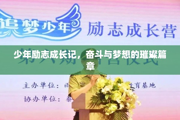 少年励志成长记,奋斗与梦想的璀璨篇章