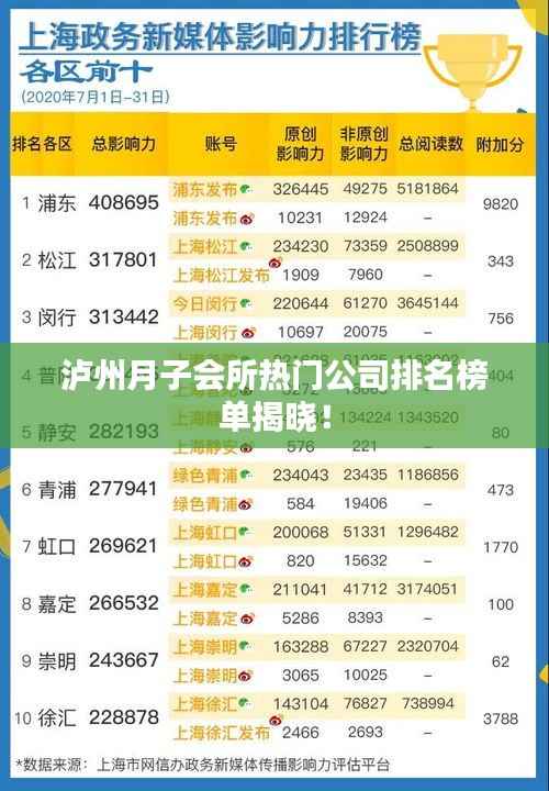 泸州月子会所热门公司排名榜单揭晓!