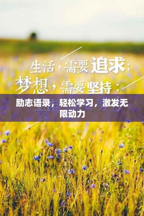 励志语录，轻松学习，激发无限动力