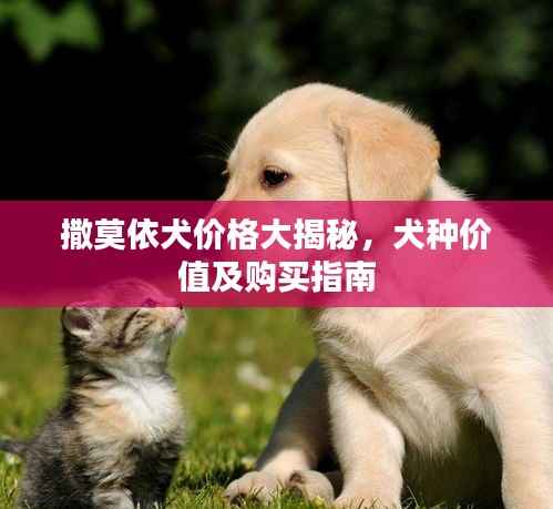撒莫依犬价格大揭秘,犬种价值及购买指南