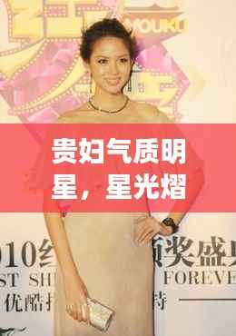 贵妇气质明星，星光熠熠的优雅典范
