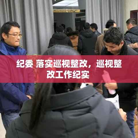 纪委 落实巡视整改,巡视整改工作纪实