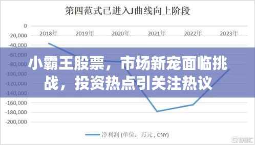 小霸王股票，市场新宠面临挑战，投资热点引关注热议