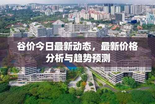 谷价今日最新动态,最新价格分析与趋势预测