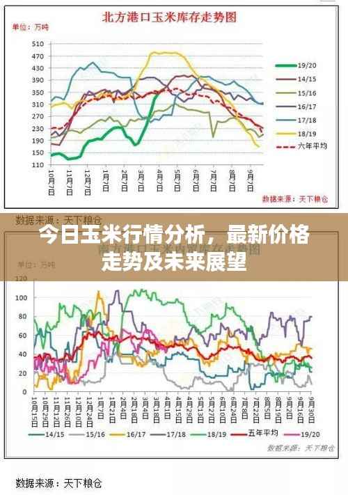 今日玉米行情分析，最新价格走势及未来展望