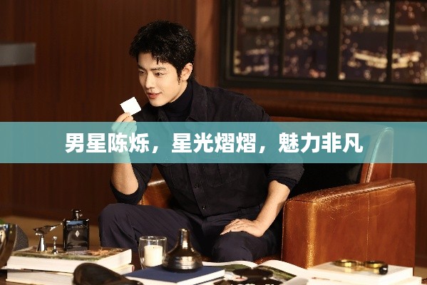 男星陈烁,星光熠熠,魅力非凡