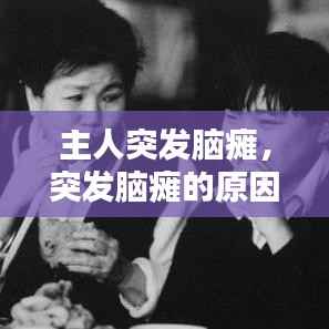 主人突发脑瘫,突发脑瘫的原因