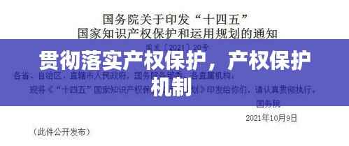 贯彻落实产权保护，产权保护机制 