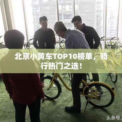 北京小黄车TOP10榜单，骑行热门之选！