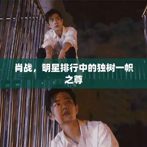 肖战,明星排行中的独树一帜之尊