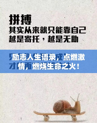 员工入口 第49页