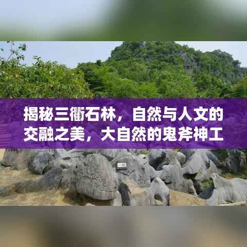 揭秘三衢石林，自然与人文的交融之美，大自然的鬼斧神工欣赏