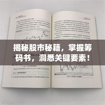 揭秘股市秘籍,掌握筹码书,洞悉关键要素!