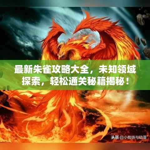 最新朱雀攻略大全,未知领域探索,轻松通关秘籍揭秘!