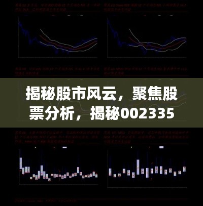 揭秘股市风云,聚焦股票分析,揭秘002335股票动态与前景展望