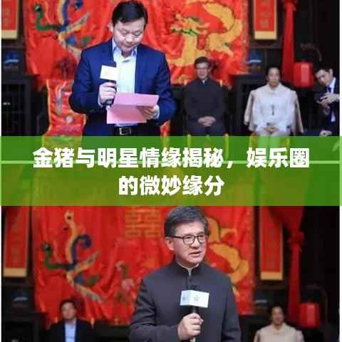 金猪与明星情缘揭秘，娱乐圈的微妙缘分